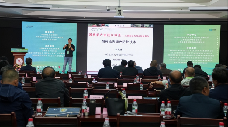 1760799196-9be675a28cf3a51