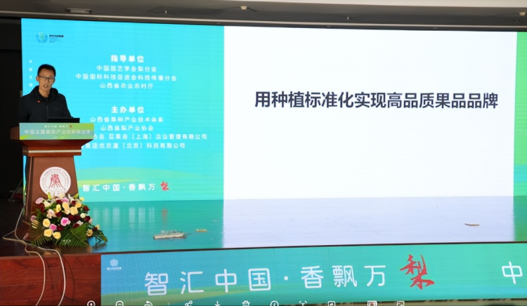 1760799196-86288190183dbe8