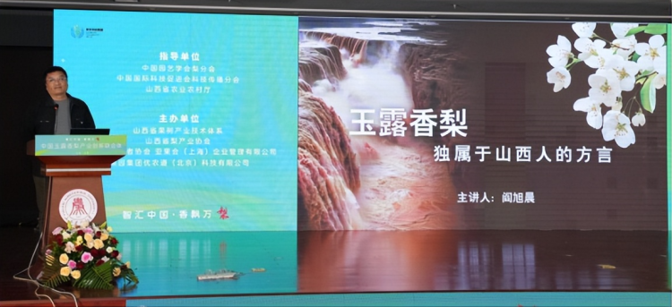 1760799203-bdfa69f5a8c5f2e